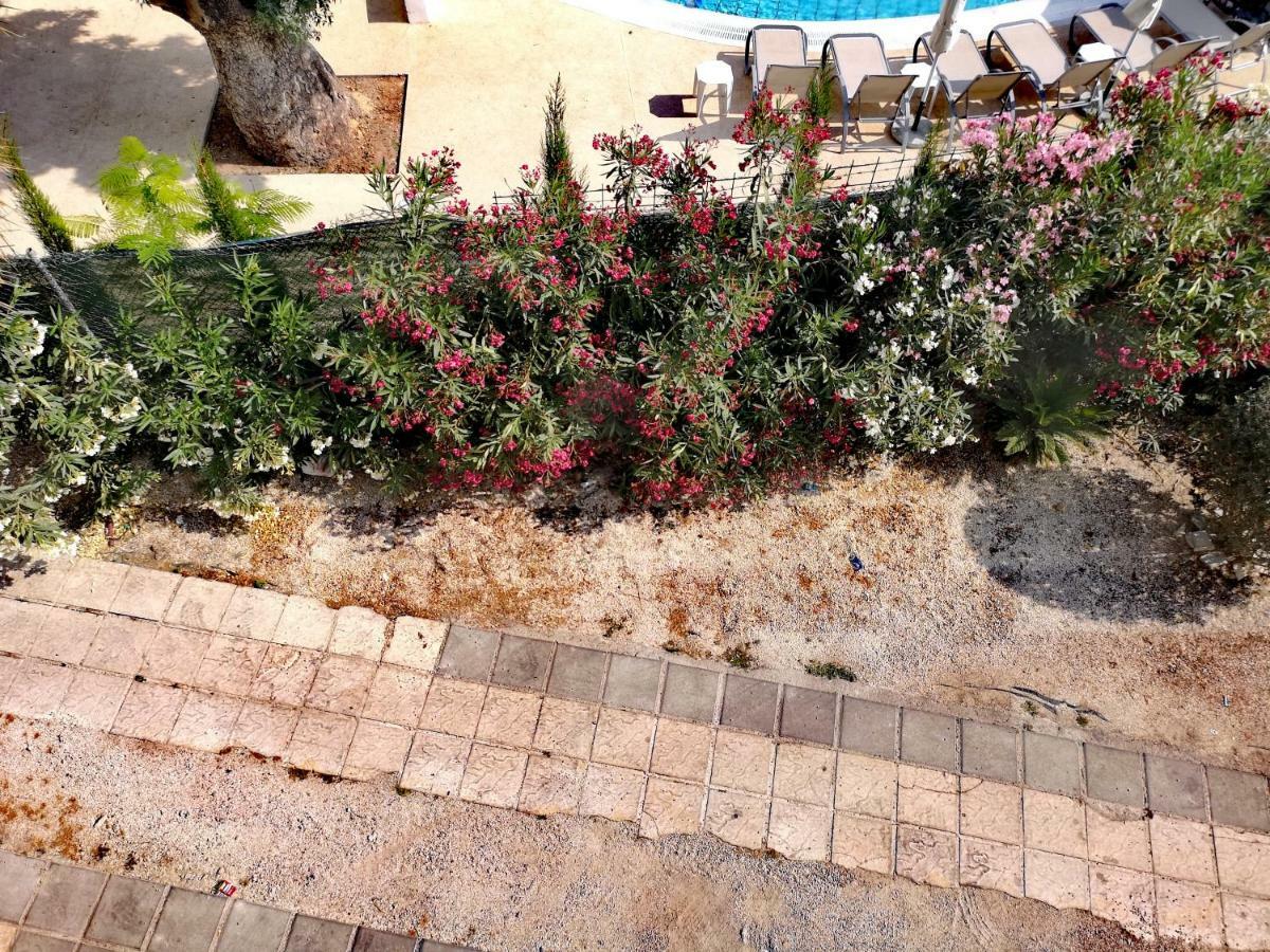 Faneromeni Court Apartment Paphos ภายนอก รูปภาพ